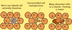 abnormal-cells-divide